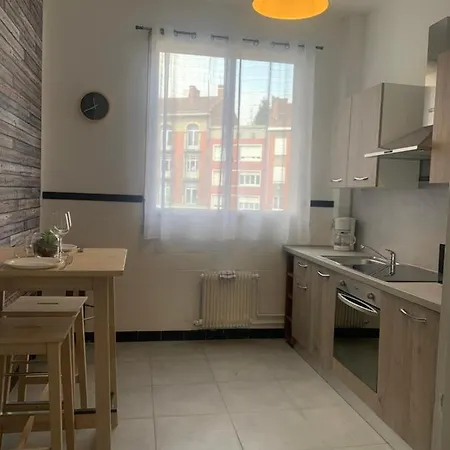 1 Spacieux Et Joli Douai