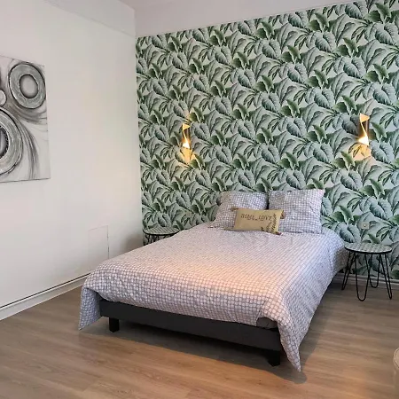 1 Spacieux Et Joli Appartement